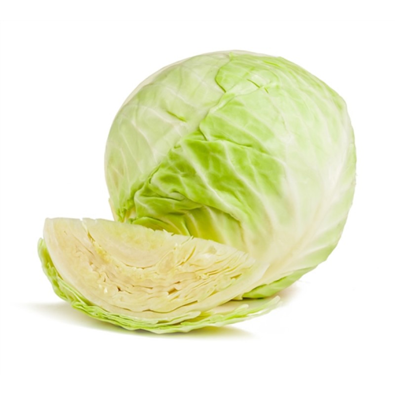 Small White Cabbage