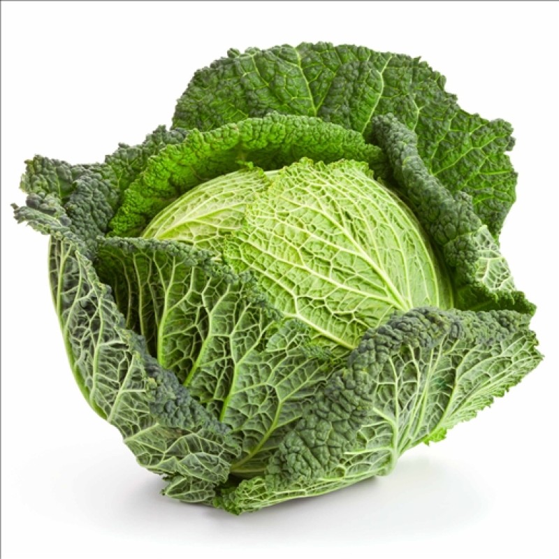 Cabbage Savoy (kara Lahana)