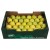 -- Apple Yellow ( Golden Delicious)