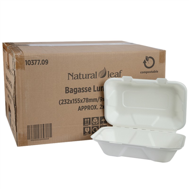 Bagasse Hb10 White