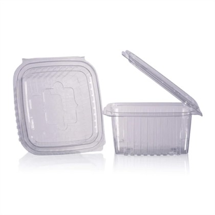 1000cc Salad Container