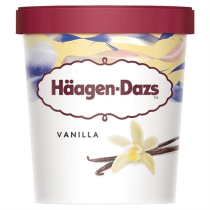 Haagen - Dazs Vanilla Ice Cream (460ML)