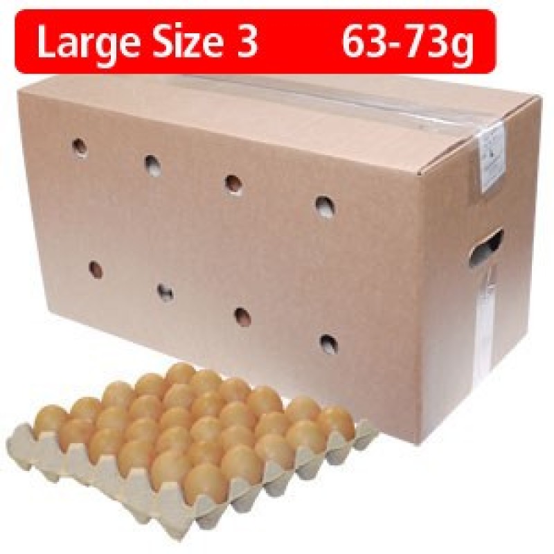 Large Eggs 1x360