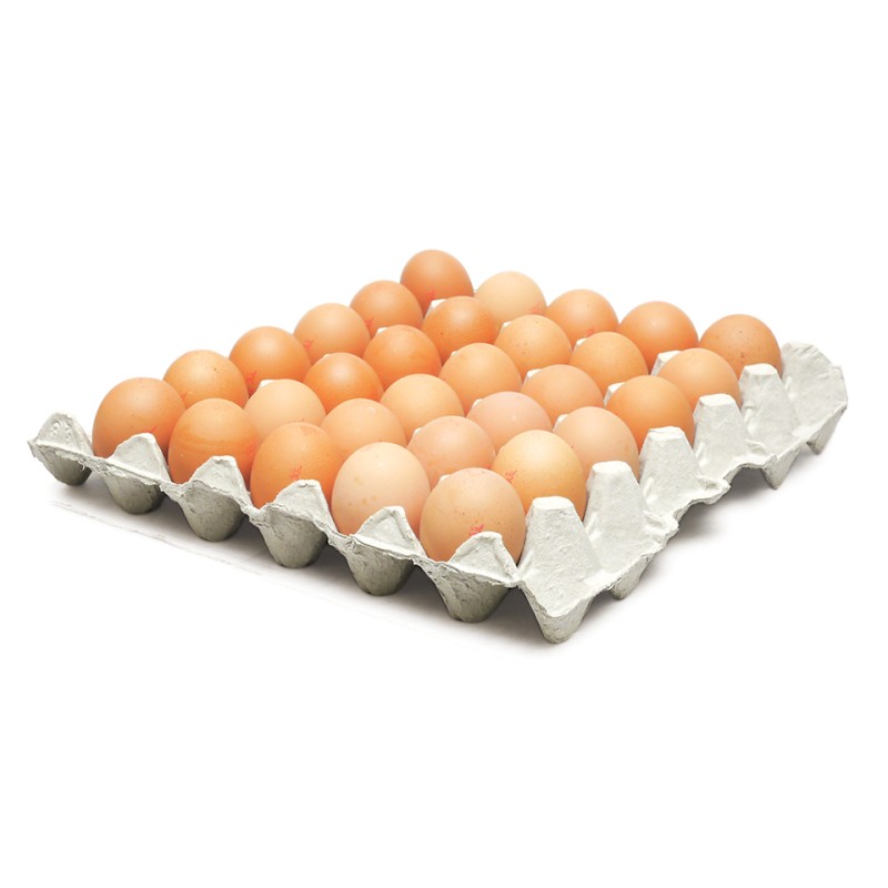 Lion Quality Medium Eggs 1x180