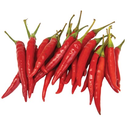 Bird's Eye Chilies Red Thai Chilies 1x1.5kg