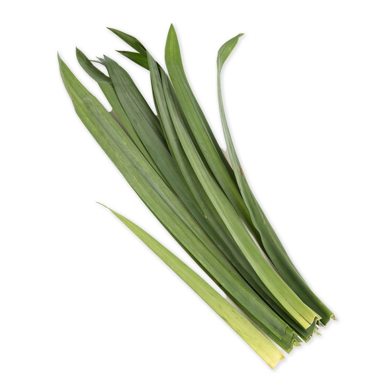 Pandan Leaf UK 1x200g